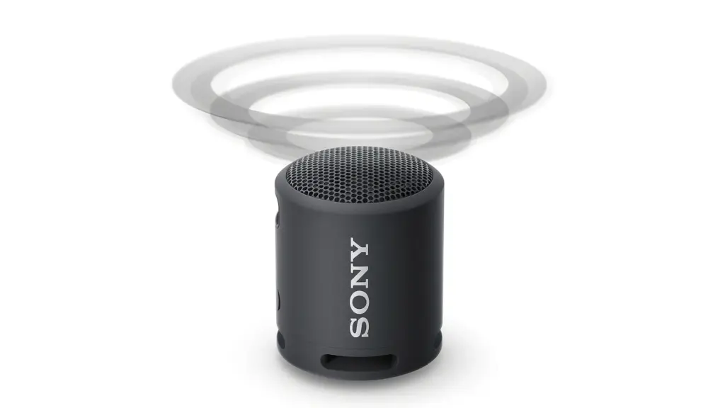 Sony SRS-XB13 im Test